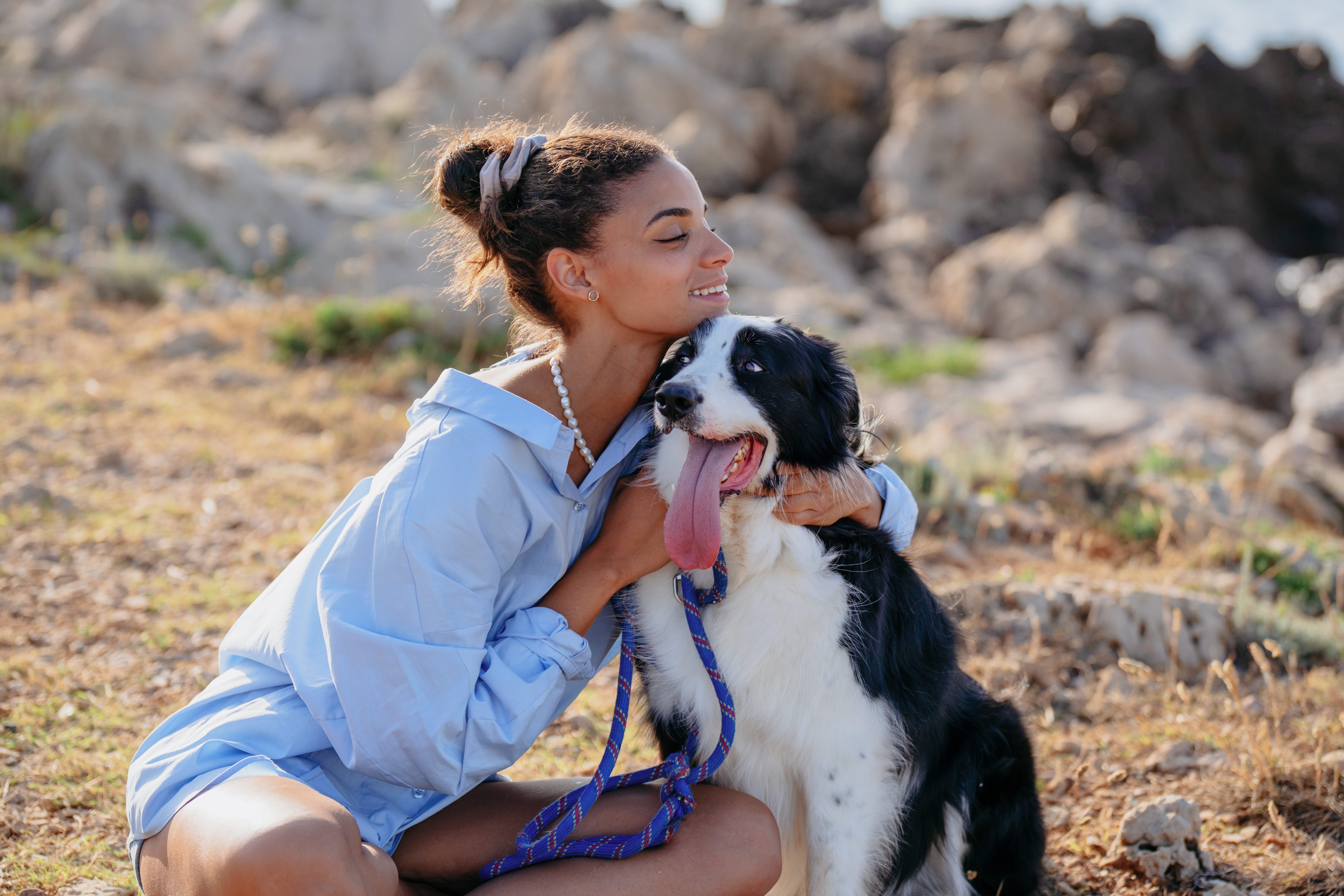 Castração canina: existe outra alternativa?