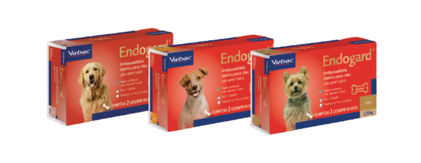 Story Instagram para material de construção ousado colorido  (3).png