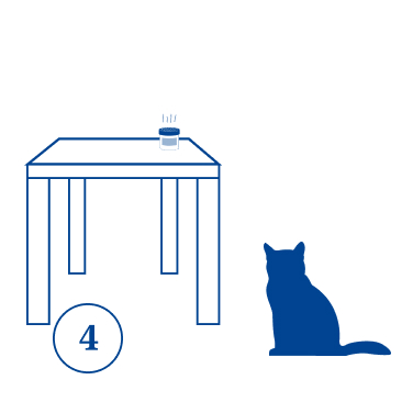Frame%204%20cat.jpg