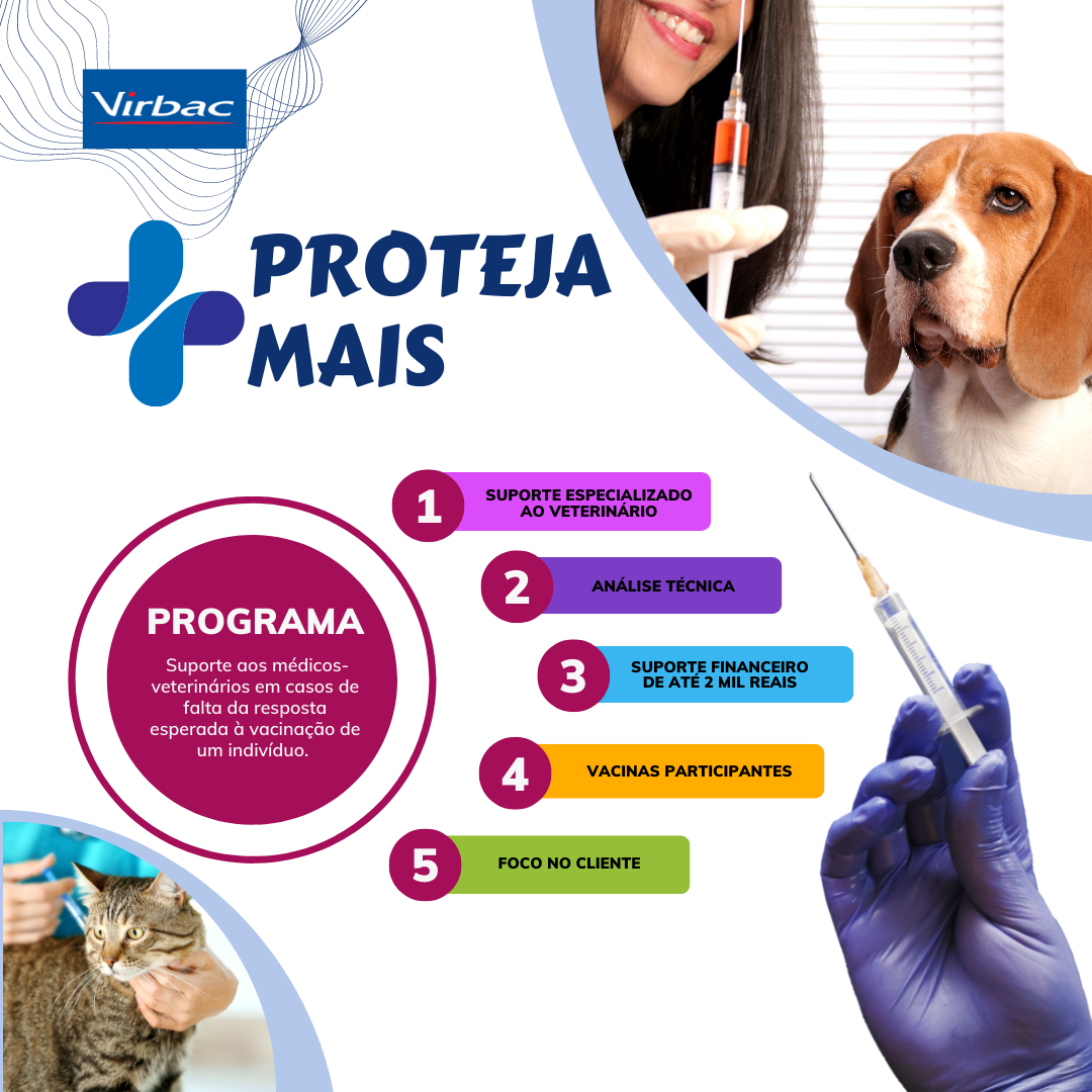 Programa PROTEJA MAIS (3).png