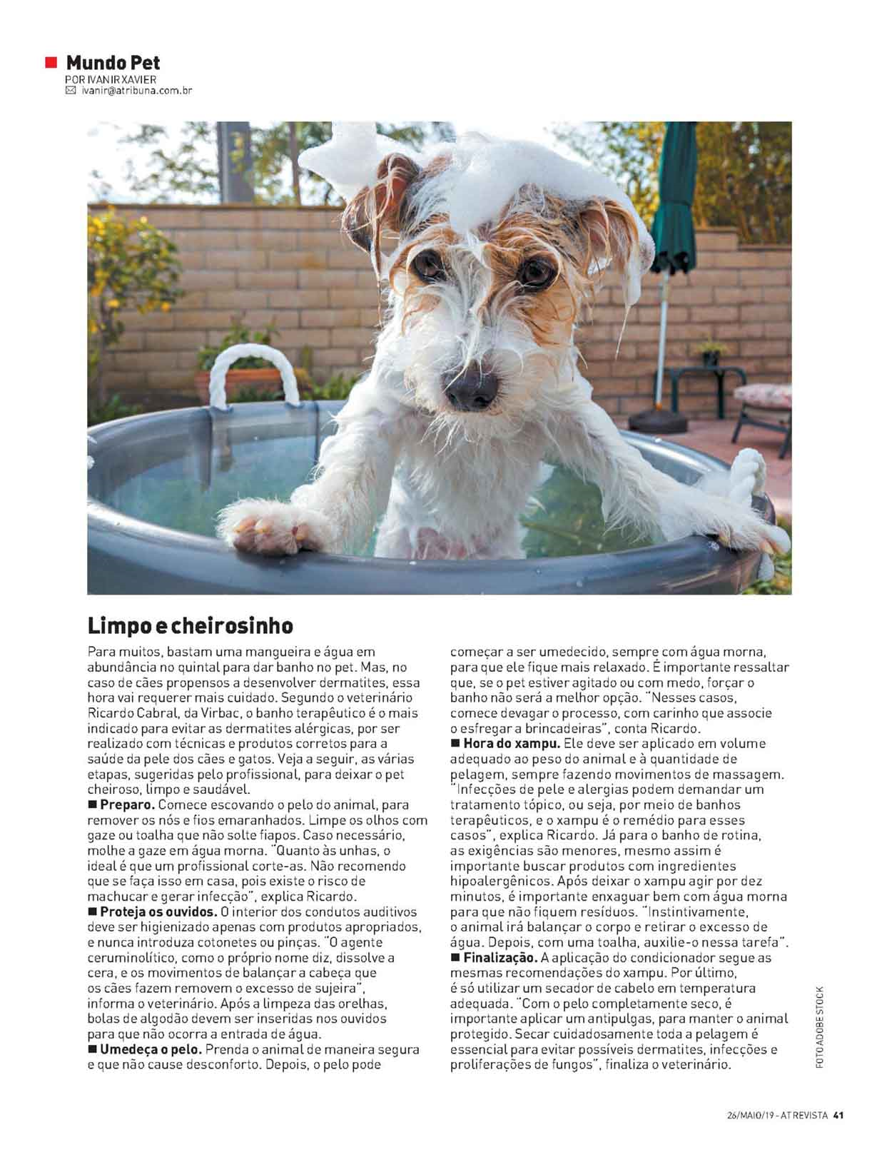 limpo e cheirosinho.png