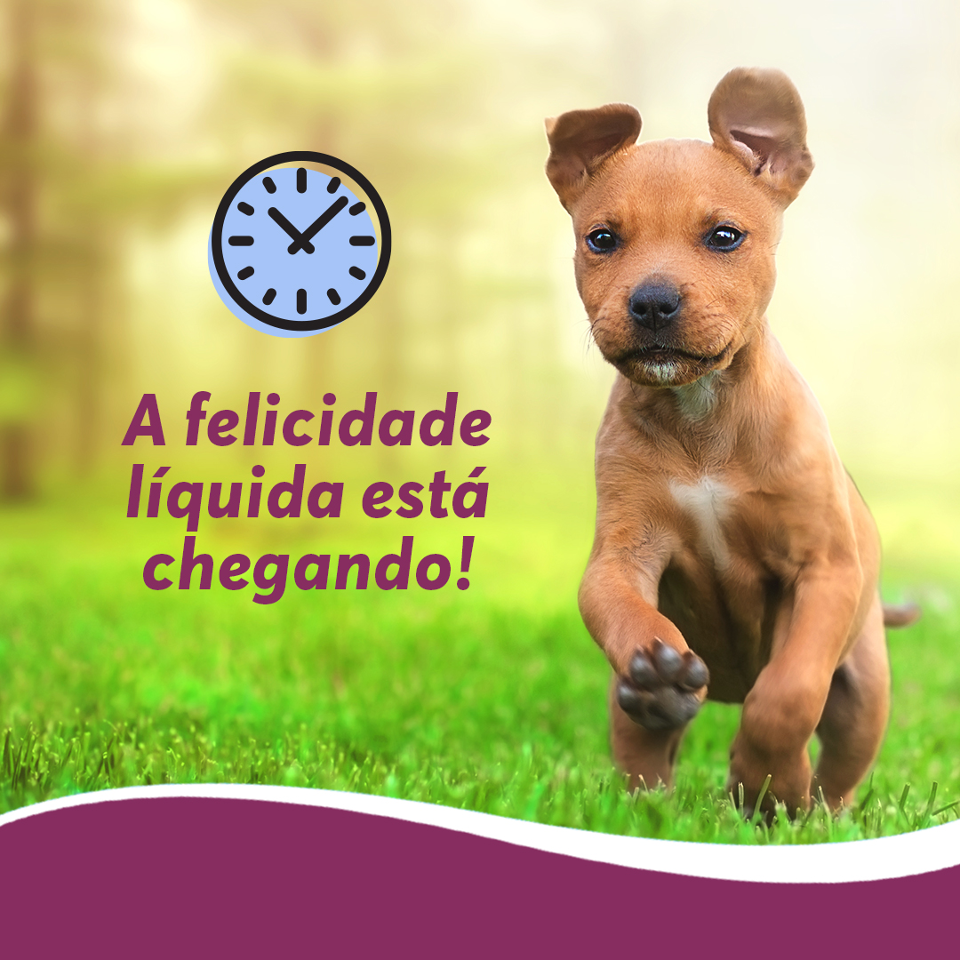 Lojistas - Post 6 Cyclavance.jpg