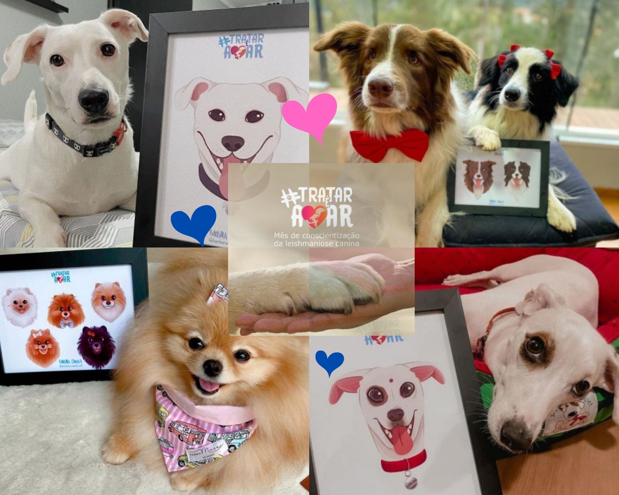 Trataréamar.jpg (Trataréamar)