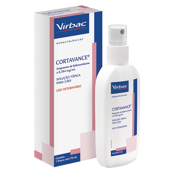 Dermatite umida em cães tratamento clearance